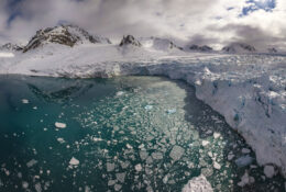 Spitsbergen_2025 (42/78)